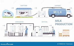 Image result for Milk Processing Plant Clip Art