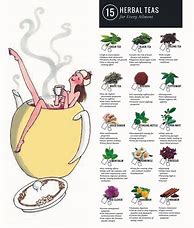 Image result for Tea Health Benefits