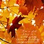 Image result for Fall Phone Wallpaper Pretty Graphics