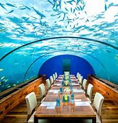 Image result for Cool Underwater Places