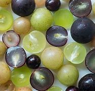 Image result for muscadine grape wine