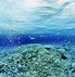 Image result for 3840X2160 Wallpaper Underwater