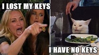 Image result for Hey Hey You Forgot to Leave the Keys Cat Meme