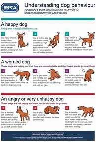 Image result for Dog Signals Communication