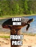 Image result for Post Turtle Meme