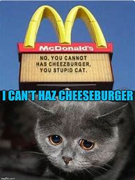 Image result for I Can Has Cheezburger Girl Skinny Jeans
