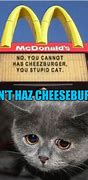Image result for No You Cannot Has Cheezburger