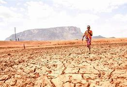 Image result for Kenya Drought Pics
