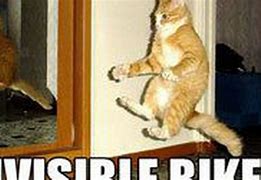 Image result for Lolcats the Musical