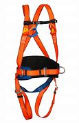 Image result for 5 Point Safety Harness