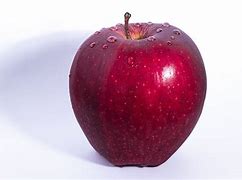 Image result for Apple 1000 Computer