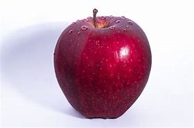Image result for AppleWorks Apple IIe