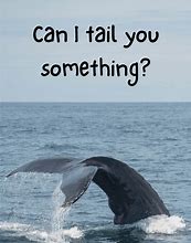 Image result for Funny Whale Puns