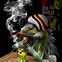 Image result for 1080X1080 Funny Weed PFP