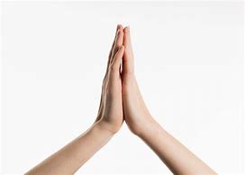 Image result for Praying Hands Front View