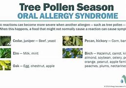 Image result for Rose Apple Allergy