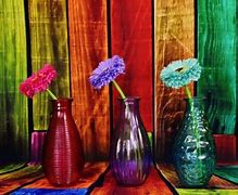 Image result for Colorful Still Life Photography