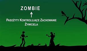 Image result for co_to_znaczy_zombilation