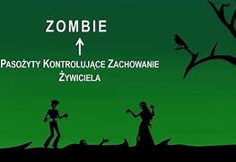 Image result for co_oznacza_zombia