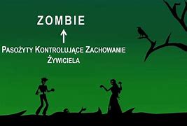 Image result for co_to_znaczy_zombie_ _pożeracze_mięsa
