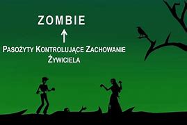 Image result for co_to_znaczy_zomba