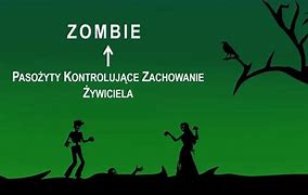 Image result for co_oznacza_zombi