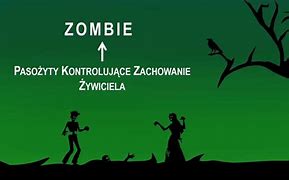 Image result for co_to_znaczy_zombiaki
