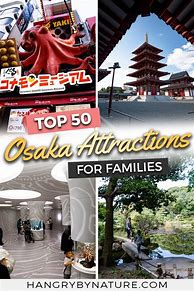 Image result for Things to Do in Osaka with Kids