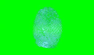 Image result for Flat Fingerprint Scanner
