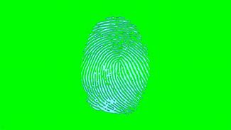 Image result for Disney Scan Fingerprint