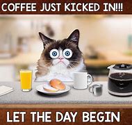 Image result for Cat No Makeup Meme Coffee