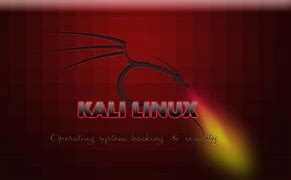 Image result for Gambar Kali Linux