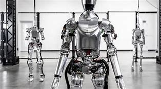 Image result for Figure Humanoid Robot