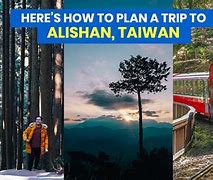 Image result for Ali Shan Taiwan