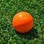 Image result for Cricket Good Luck