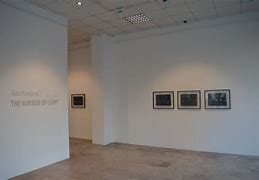 Image result for Ana Knezevic Curator