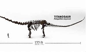 Image result for The Real Biggest Dinosaur Ever