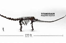 Image result for What Is the Biggest Dinosaur