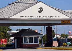 Image result for Cherry Point Siegerrebe