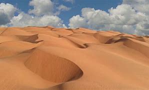 鲁卜哈利沙漠 的图像结果