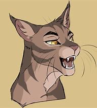 Image result for Warrior Cats Drawing Sketch