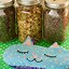 Image result for DIY Cat Gifts