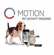 Image result for Tractivity Activity Monitor