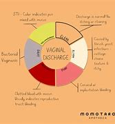 Image result for Chlamydia Life Cycle
