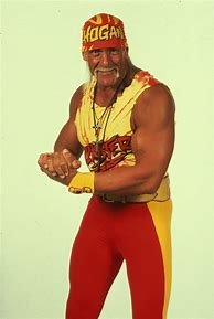 Image result for Hogan WCW