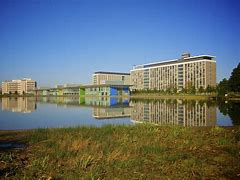 Image result for The Lucky Swan High-Tech Campus