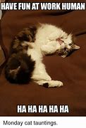 Image result for Awesome Work Cat Meme