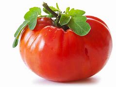 Image result for Goliath Hybrid Tomato