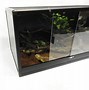 Image result for 4X2x2 Reptile Tank Zoo Med