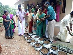 Image result for Local Lokur Farm